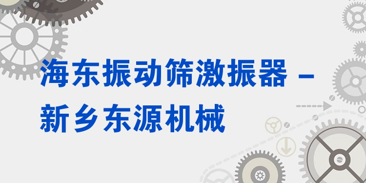 海東振動(dòng)篩激振器 - 新鄉(xiāng)東源機(jī)械