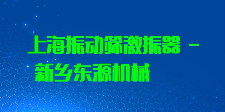 上海振動(dòng)篩激振器 - 新鄉(xiāng)東源機(jī)械